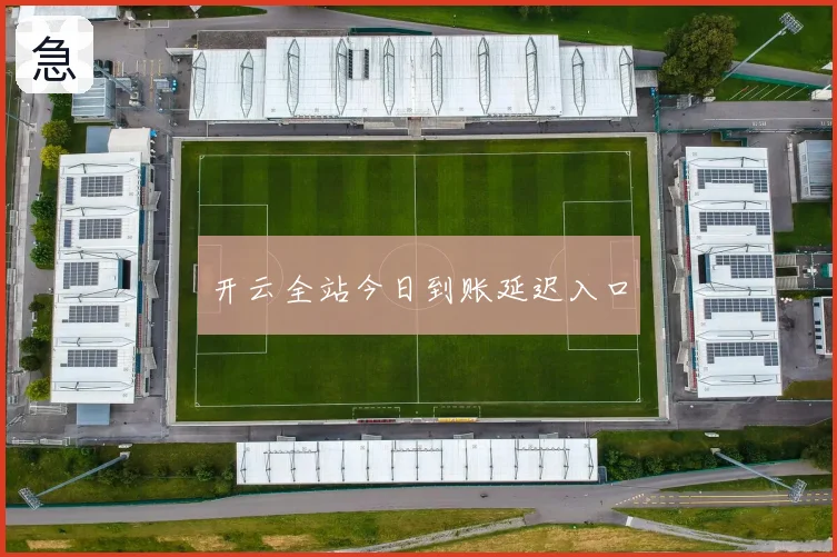 开云全站今日到账延迟入口